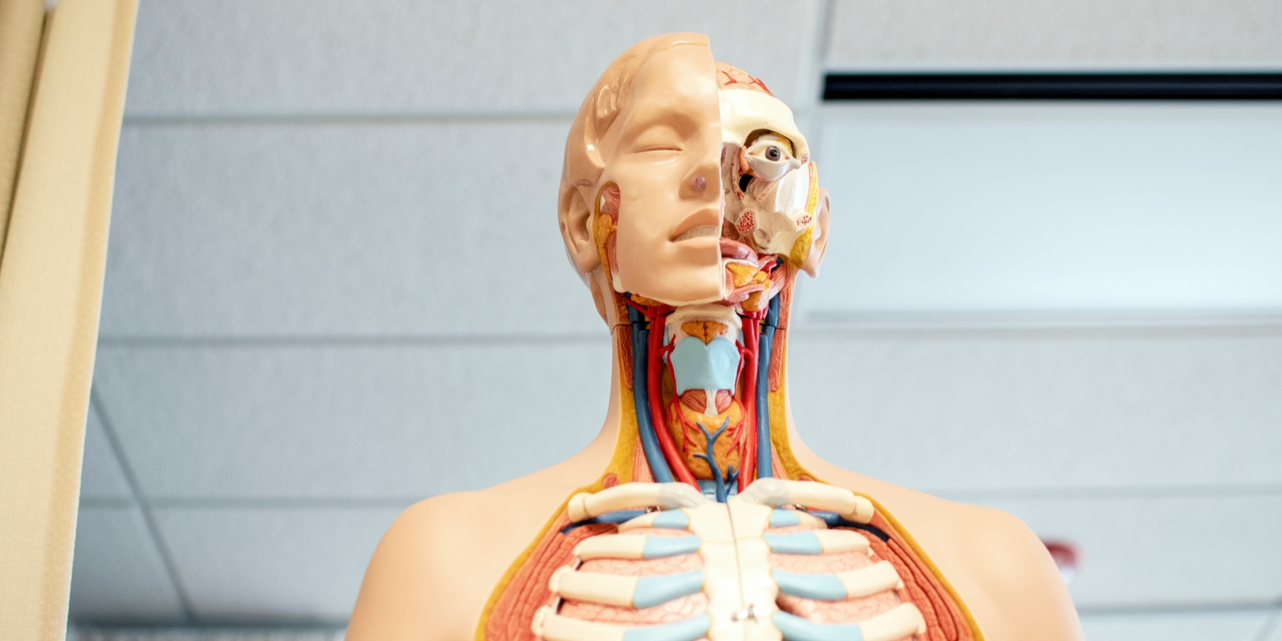 The Role of Antibiotics in Treating Recurring Strep Throat